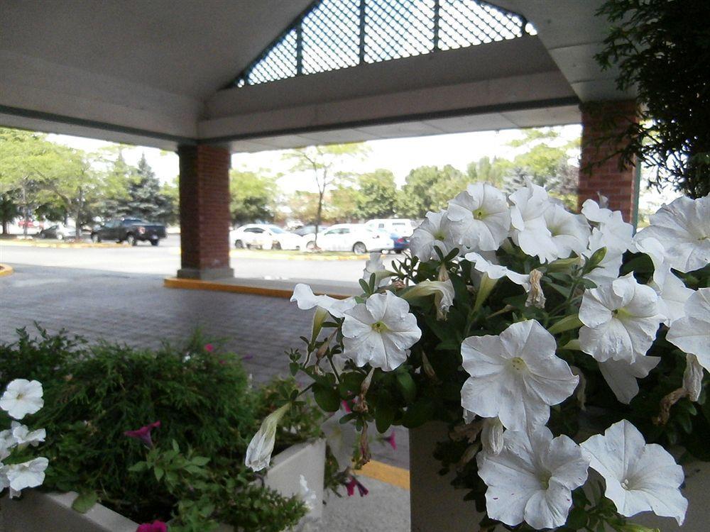 Holiday Inn Express Hamilton-Stoney Creek Exterior photo